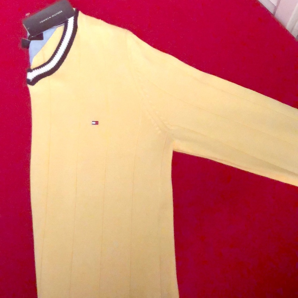 Tommy Hilfiger  spring sweater